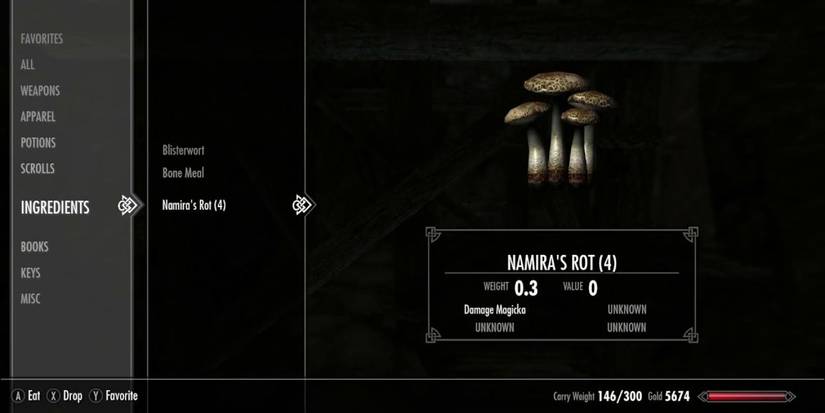 Skyrim Namira's Rot