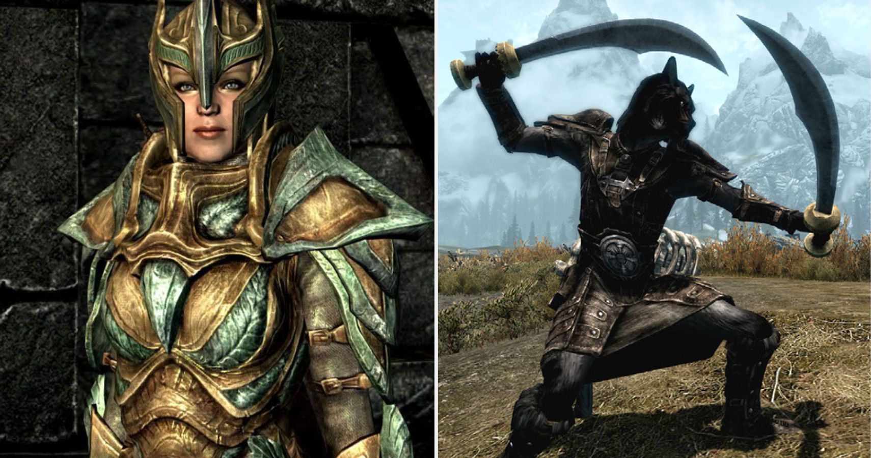 Skyrim Light Armor Character And Dual Wielding