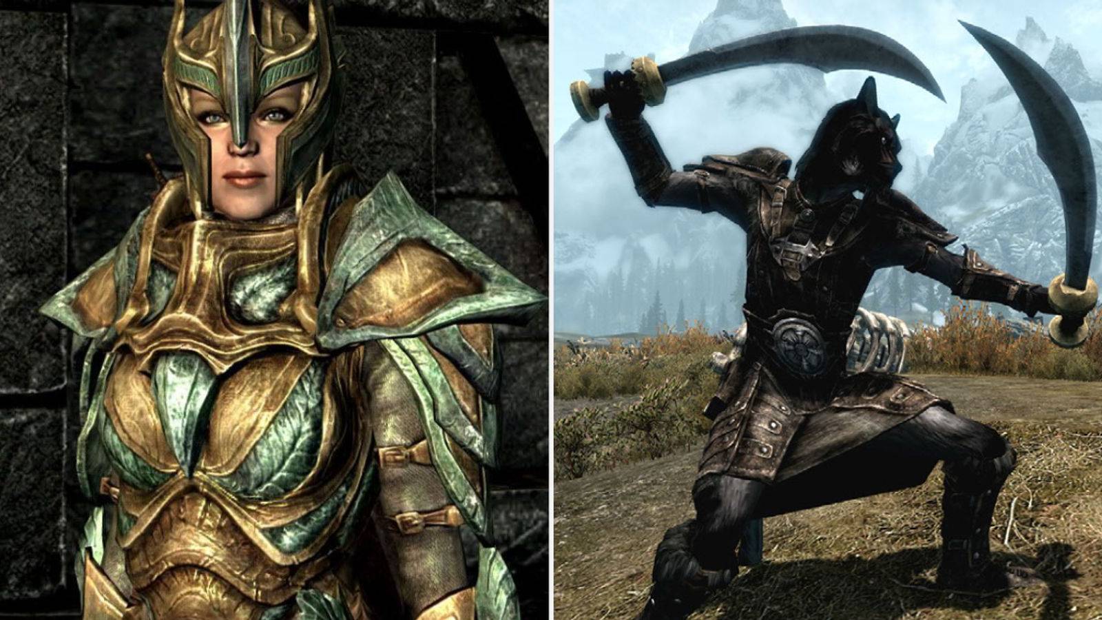 Skyrim Light Armor Character And Dual Wielding