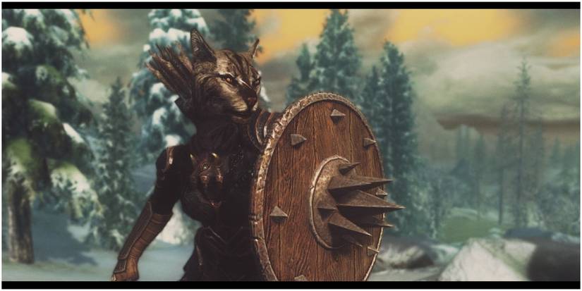 skyrim khajiit wielding targe of the blooded shield