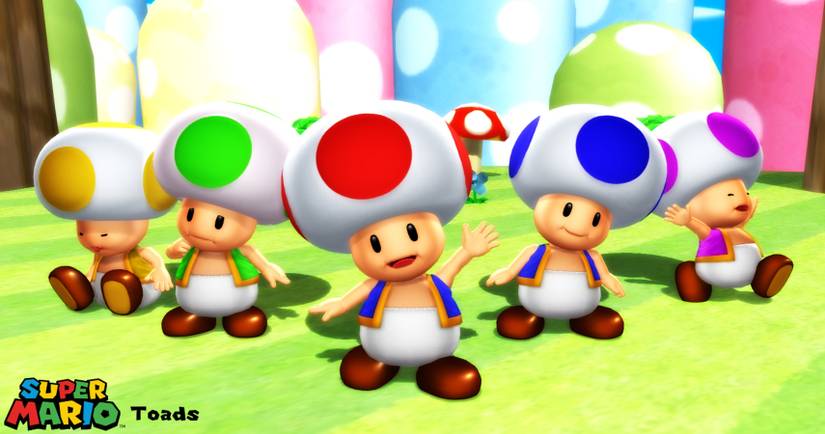 Various colors of Toads