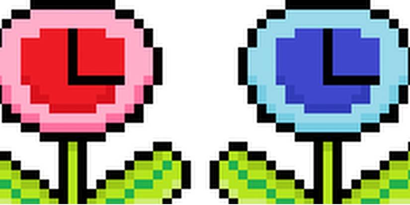 Super Paper Mario Speed Flower Slow Flower