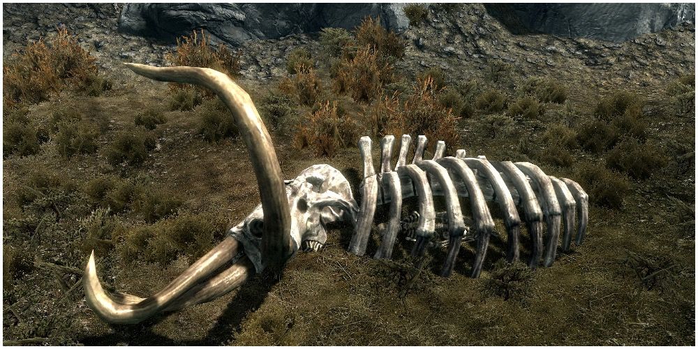 A mammoth skeleton with a human skeleton inside