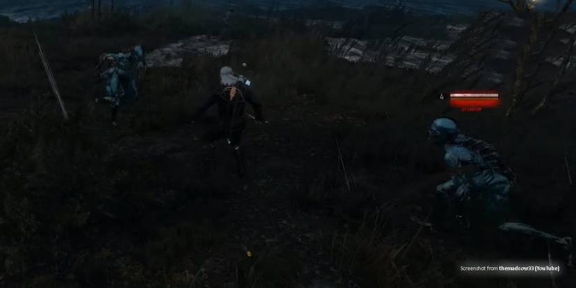 The Witcher 3 Downer Tips - 1
