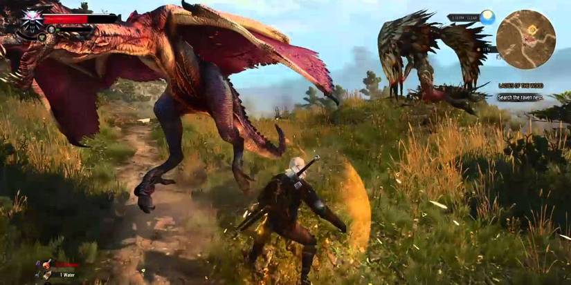 The Witcher 3 Harpies