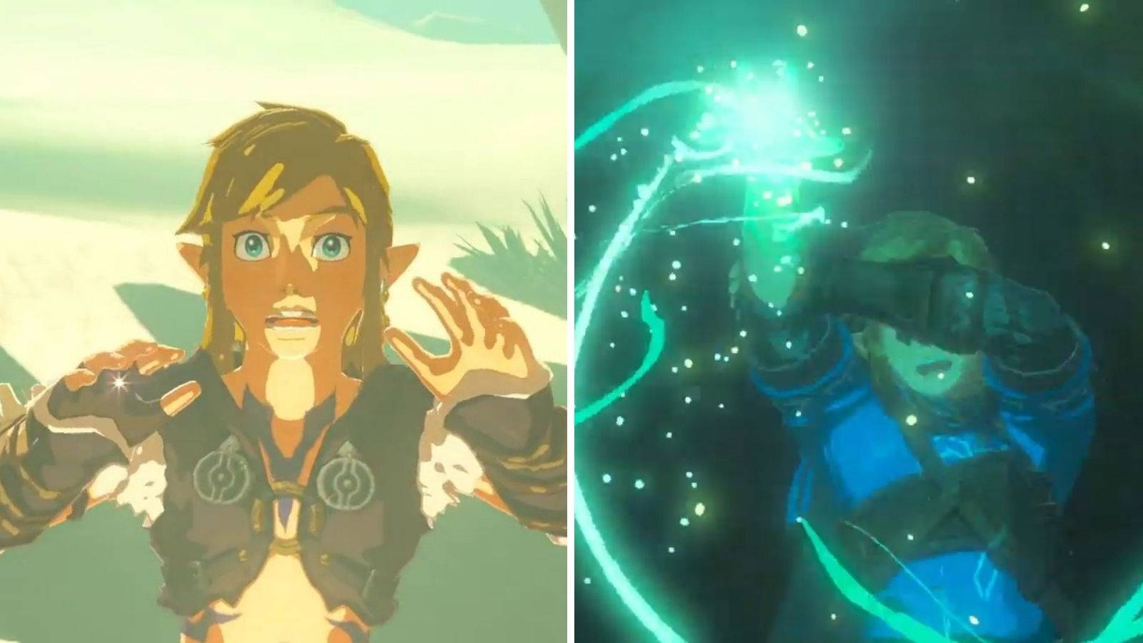 Link from Breath of the Wild and Breath of the Wild 2 Scared.