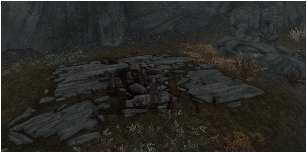 The body of the guard located at the bottom of Dragonsreach