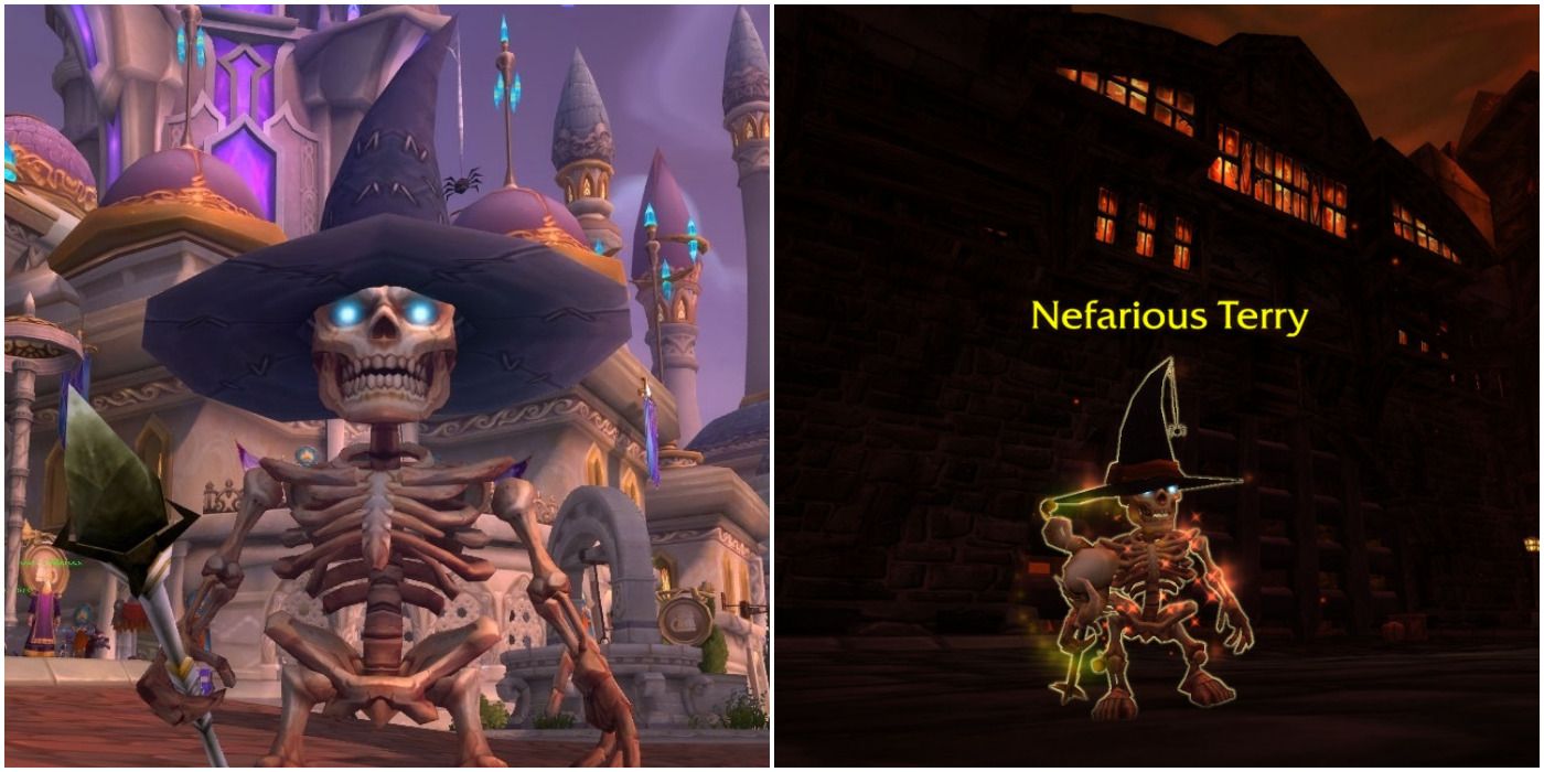 World of WarCraft Battle Pets Minimancer and Nefarious Terry