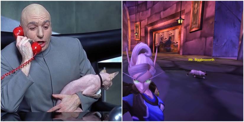 World of WarCraft Dr Evil Mr Bigglesworth