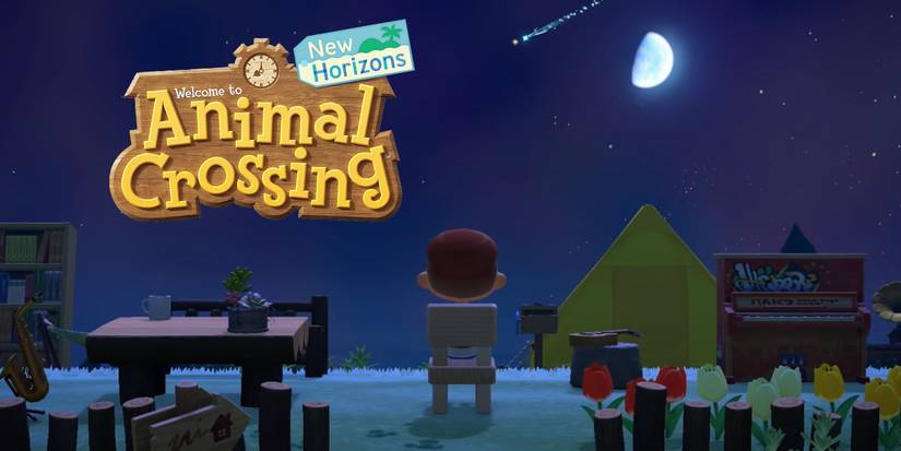 animal crossing new horizons moon rug