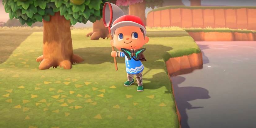 animal crossing new horizons screenshot of common bluebottle catch