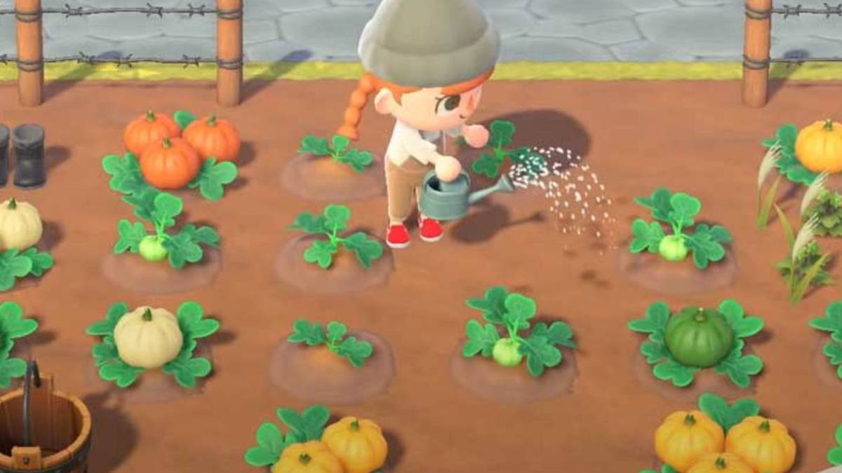 animal crossing pumpkins