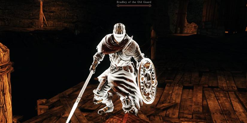 Bradley of The Old Guard