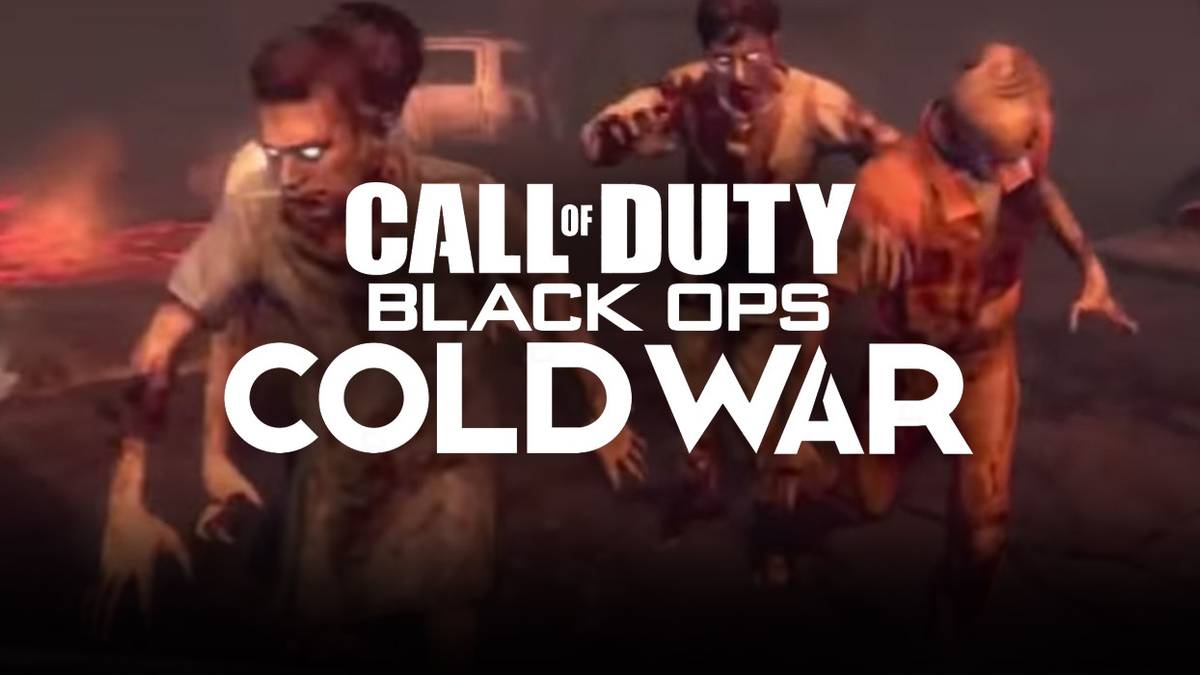 COD Black Ops Cold War Zombie Tranzit