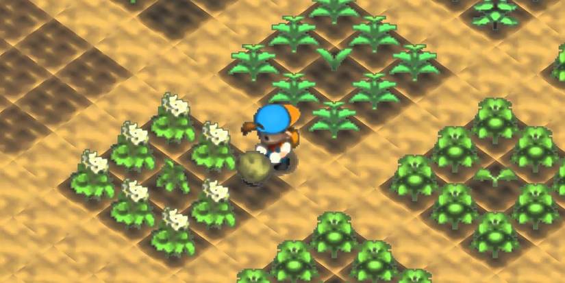 The protagonist is farming in Harvest Moon 64