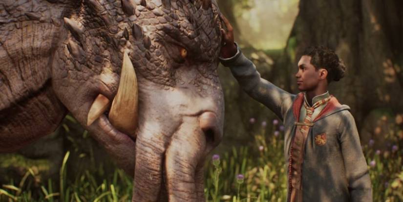 harry potter hogwarts legacy