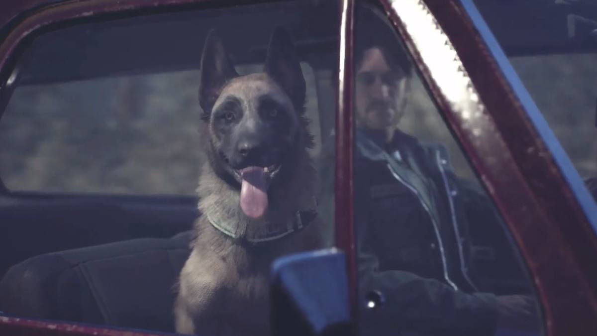 blair witch bullet dog