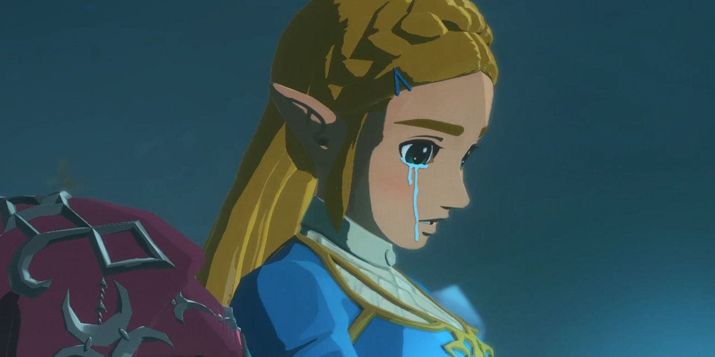Hyrule Warriors Zelda Crying