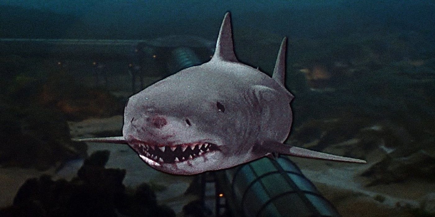 Jaws 3D Shark Still