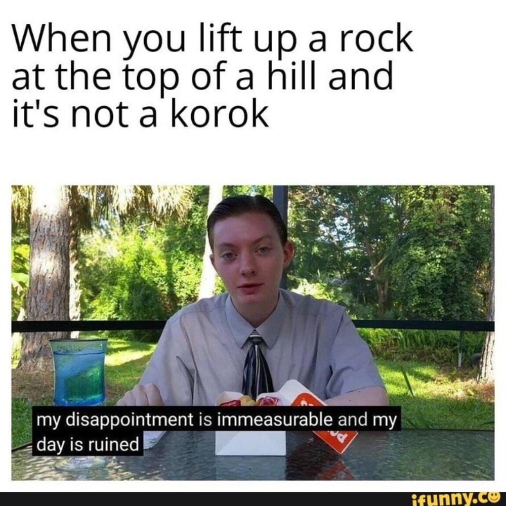 top of the hill korok disappointment meme