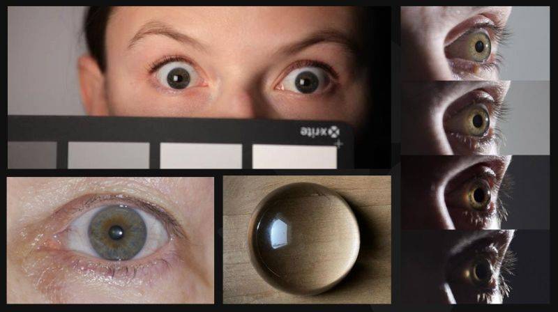 eye shading reference