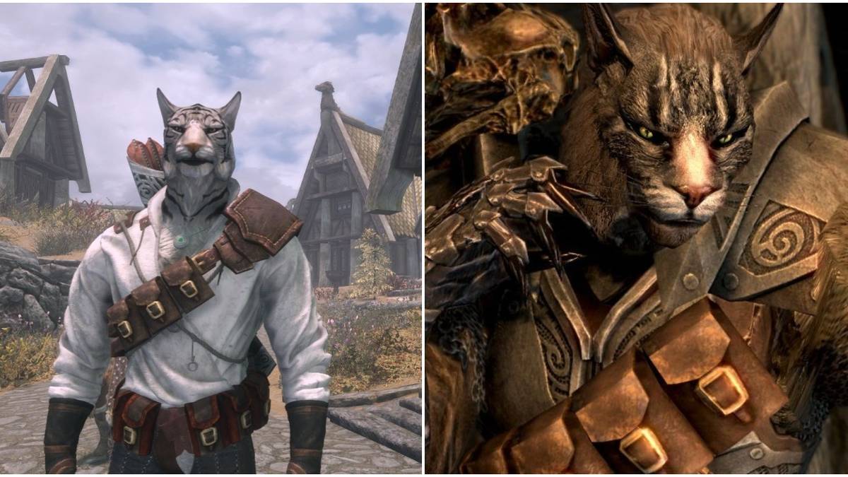 Skyrim: 10 Hidden Details About The Khajiit Only True Fans Know, image size:1200x675