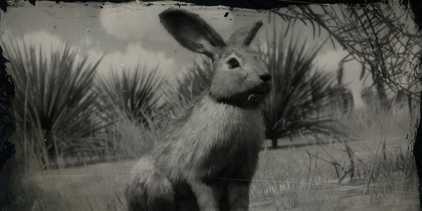 red-dead-2-rabbit