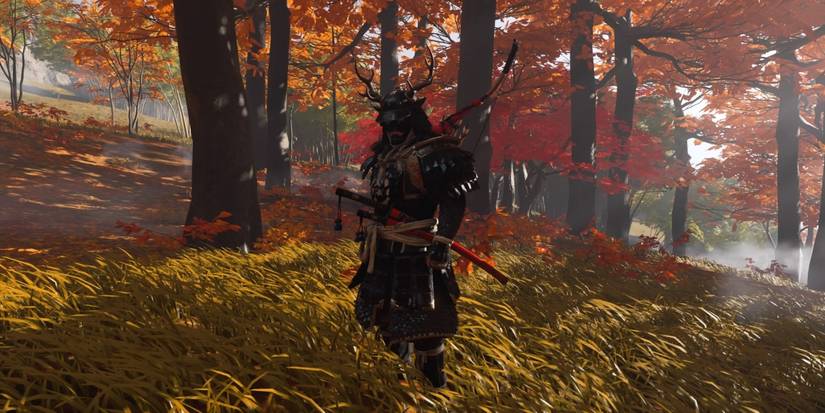 Ghost Of Tsushima Field