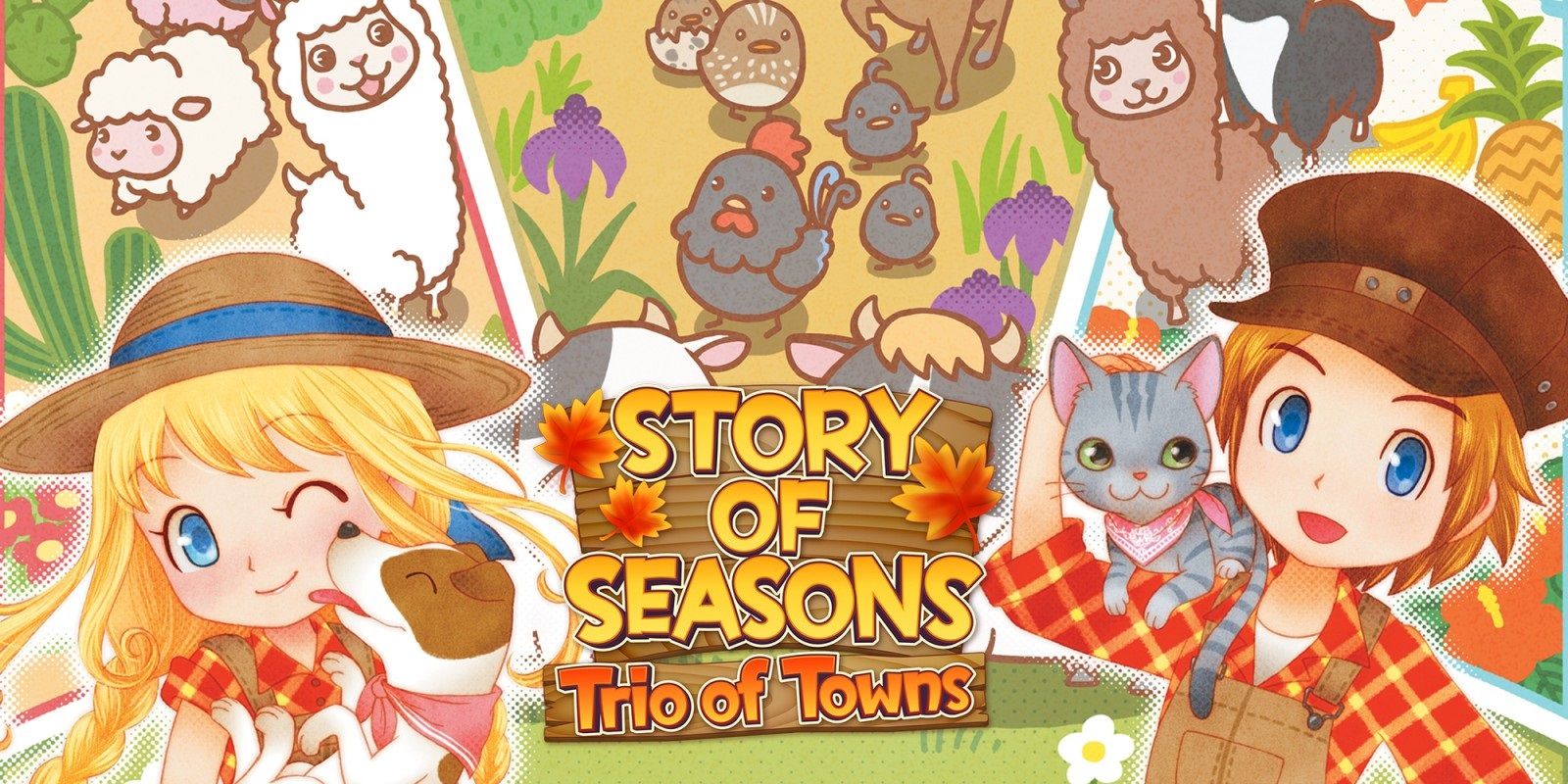 Story of Seasons cover image