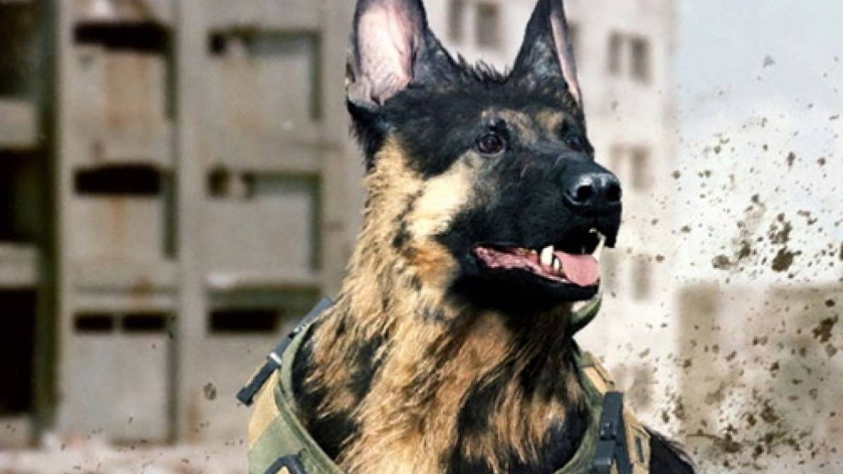 dog finisher warzone