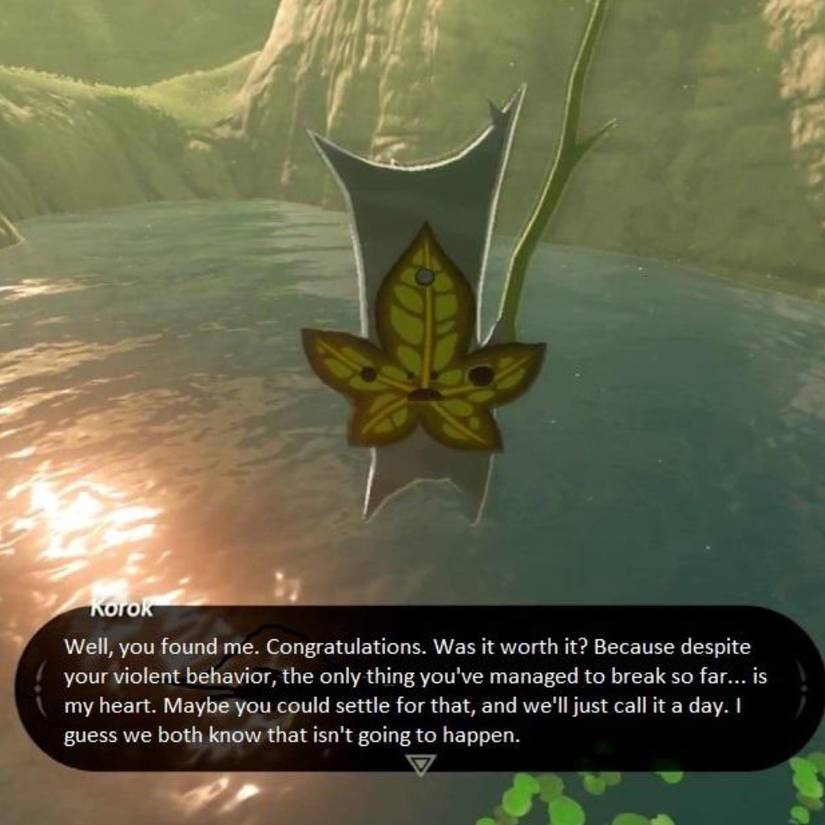 the diva korok well you found me meme