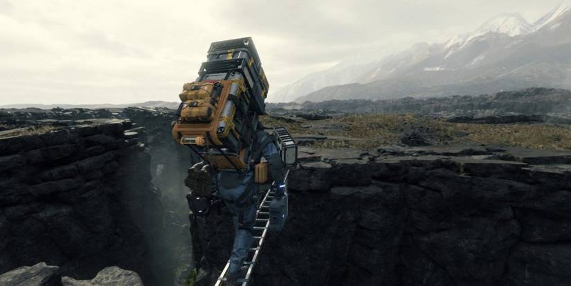 Sam carrying packages in DS