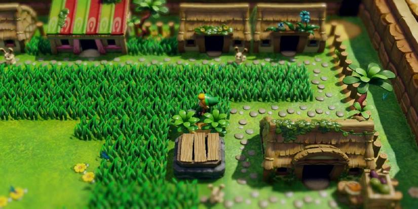 Animal Village in Link's Awakening