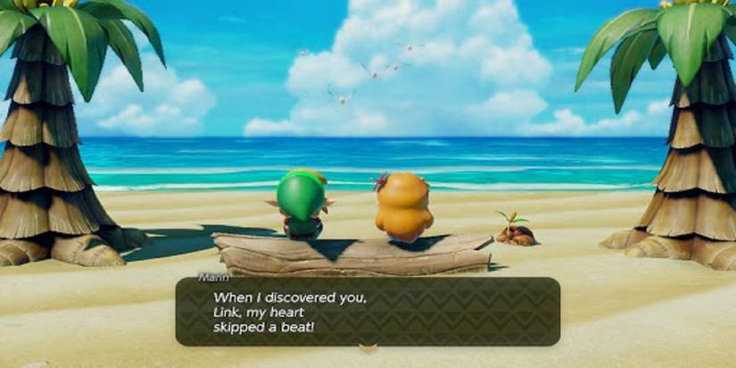 Link Marin Link's Awakening