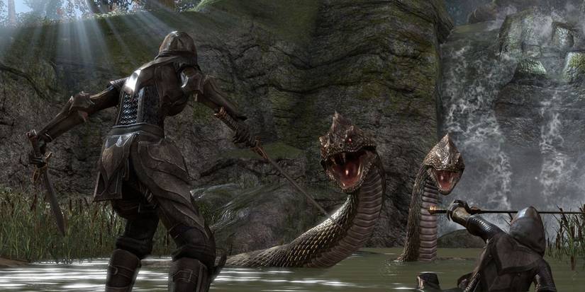 A party about to face monsters