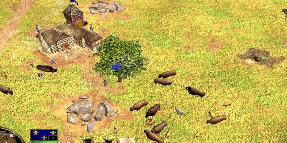 Age Of Empires 3 Corralling Herd Of Bison