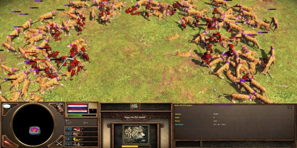Age Of Empires 3 Doppelsoldner Versus Jaguars