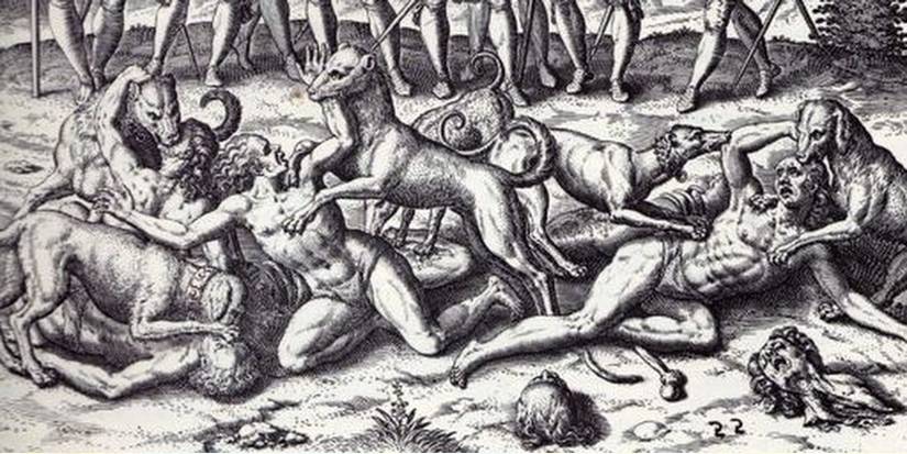 Age Of Empires 3 War Dogs Real Artwork