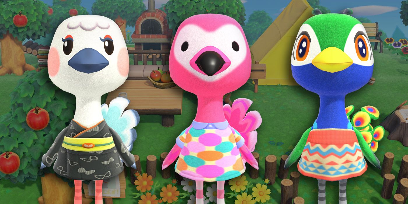 Animal Crossing: New Horizons Best Ostriches