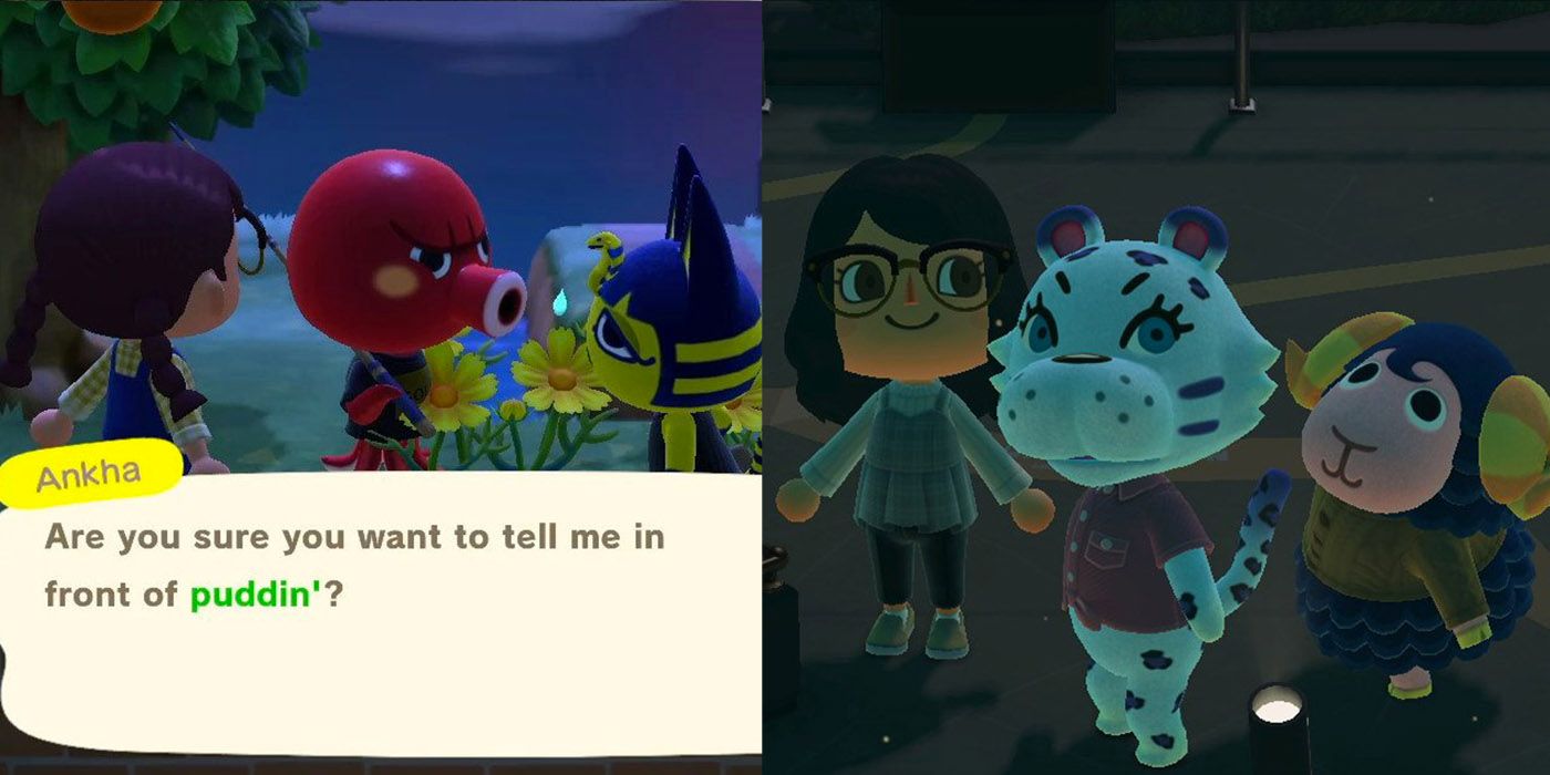 Two Warnings For Families Playing 'Animal Crossing: New Horizons' On Switch