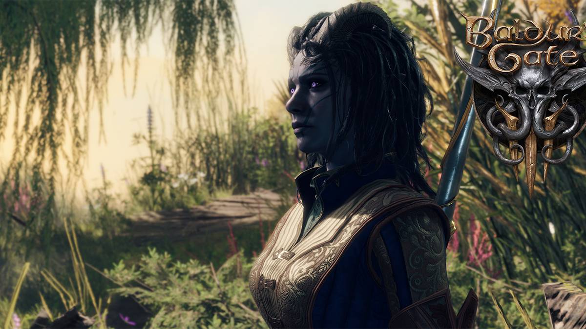 Baldur's Gate 3 in-game screenshot