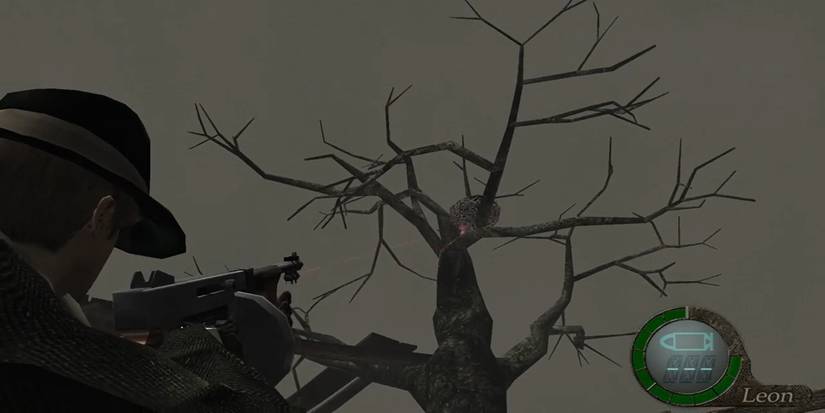 Bird's nest in Resident Evil 4