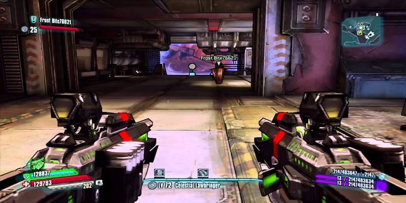 Borderlands TPS Dual Wielding