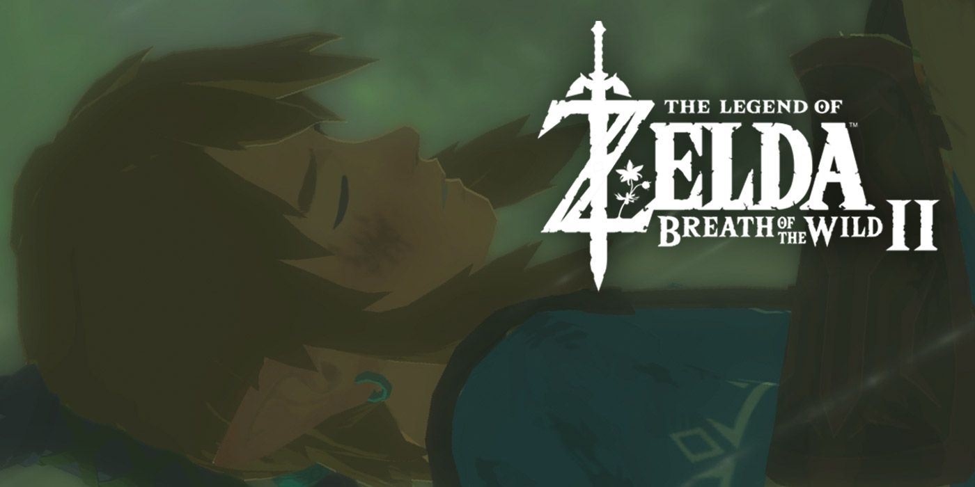 Breath Of The Wild 2 Link Sleeping