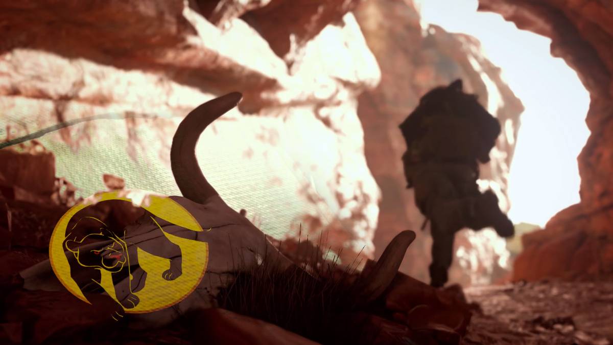 black ops ninja perk