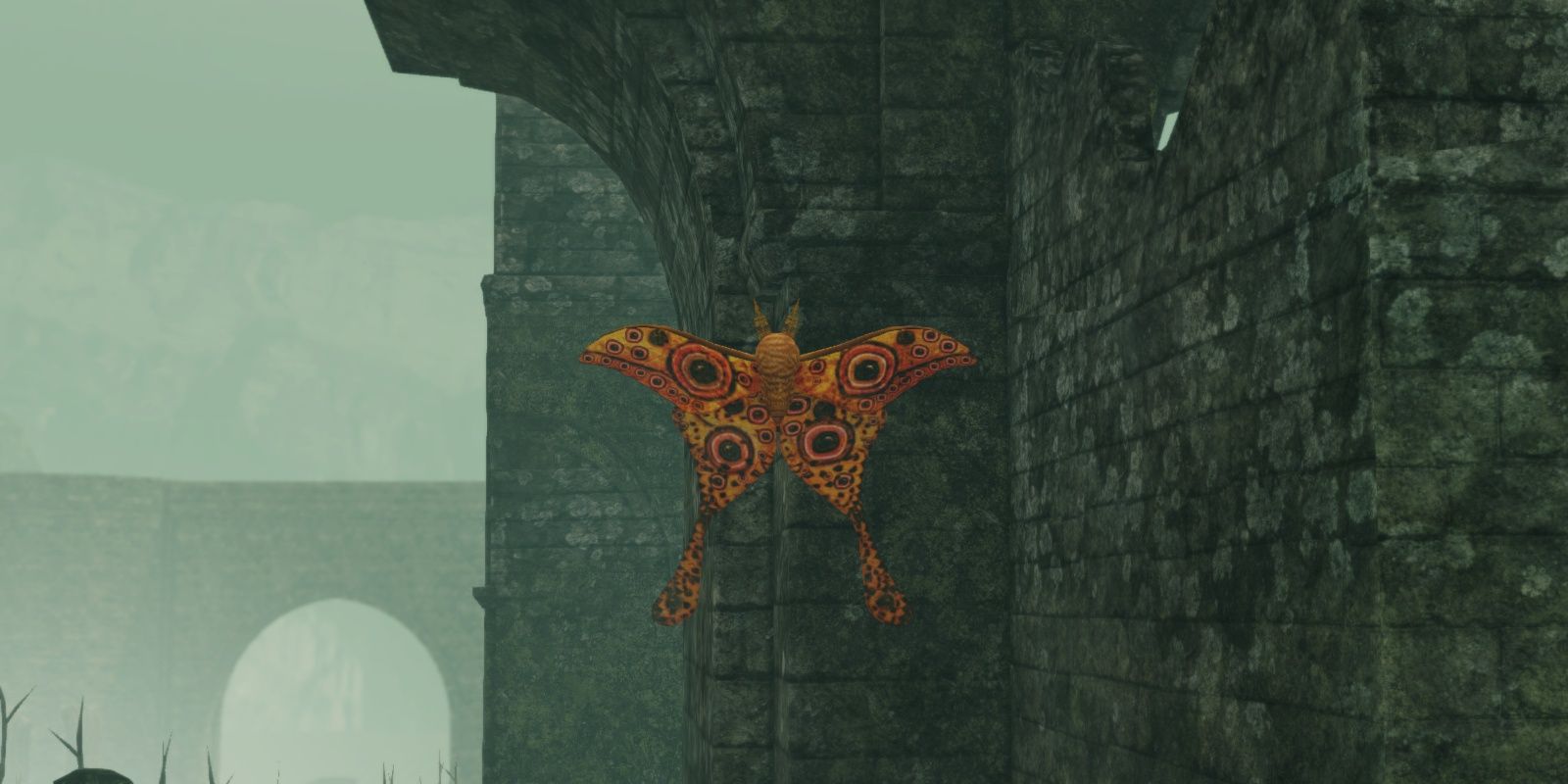 Dark Souls 2 Great Moth