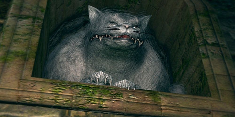 Dark Souls Forest Hunter Covenant Cat