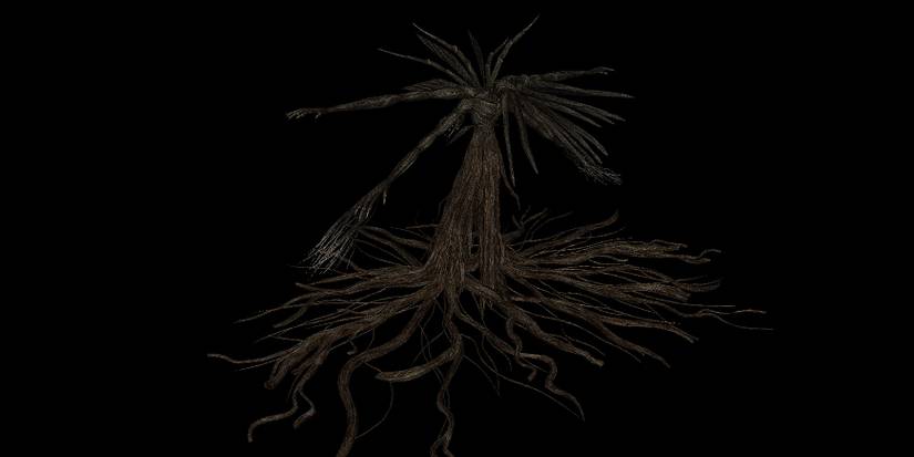 Dark Souls Prototype Bed of Chaos