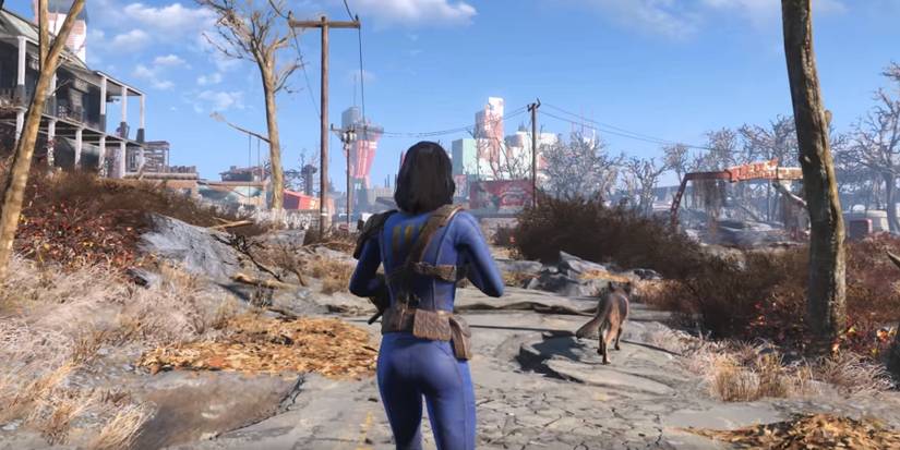 sole survivor and dogmeat in wasteland