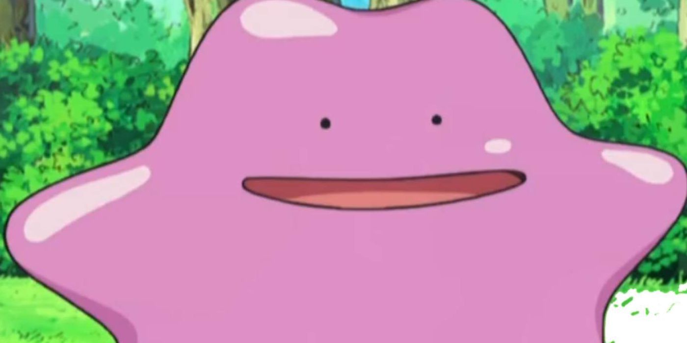 Ditto Smiling In A Forest